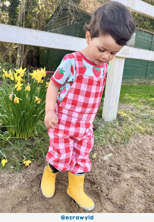 Organic Red Gingham Woven Dungarees - Toby Tiger
