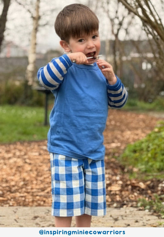 Organic Blue Gingham Woven Shorts - Toby Tiger