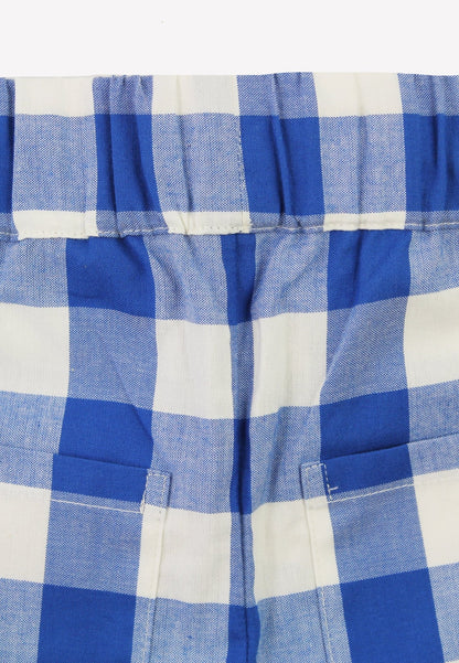 Organic Blue Gingham Woven Shorts - Toby Tiger