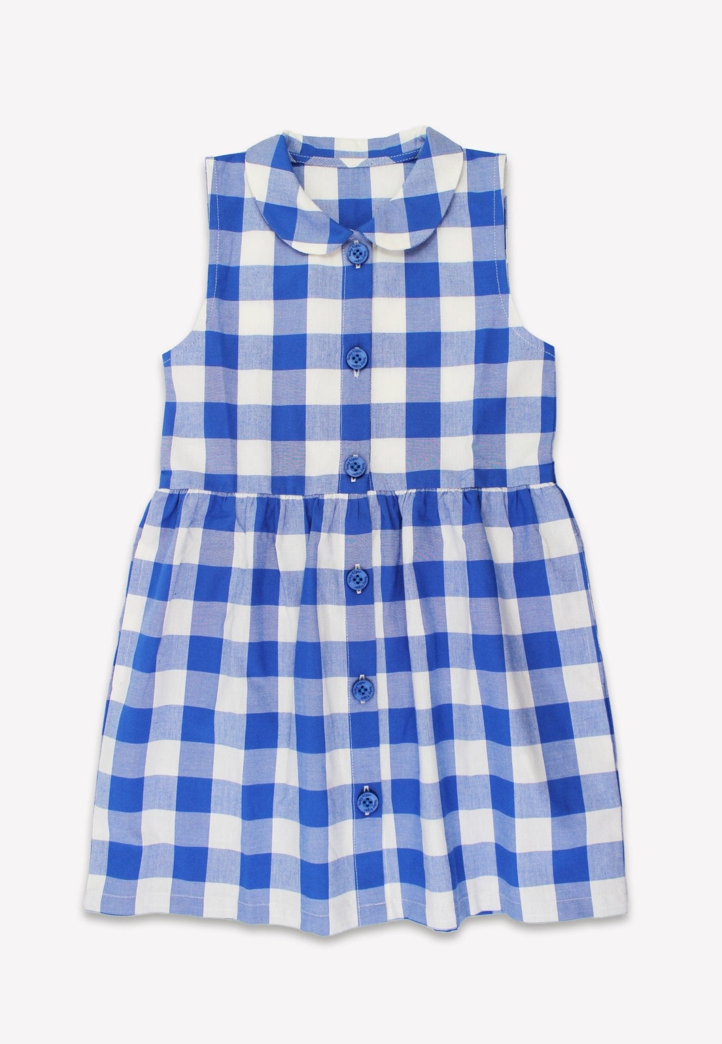 Organic Blue Gingham Woven Dress - Toby Tiger
