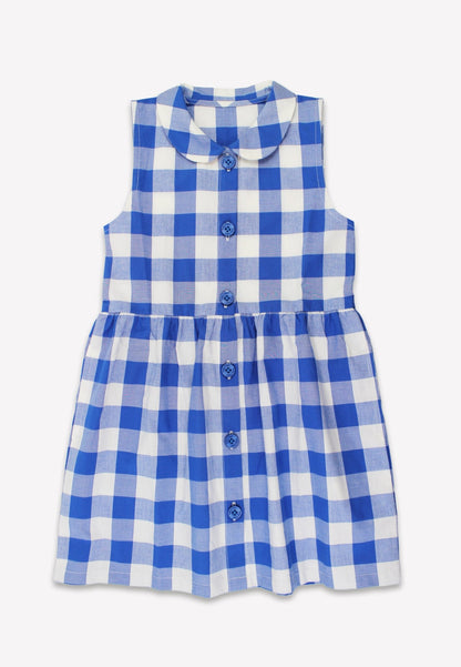 Organic Blue Gingham Woven Dress - Toby Tiger