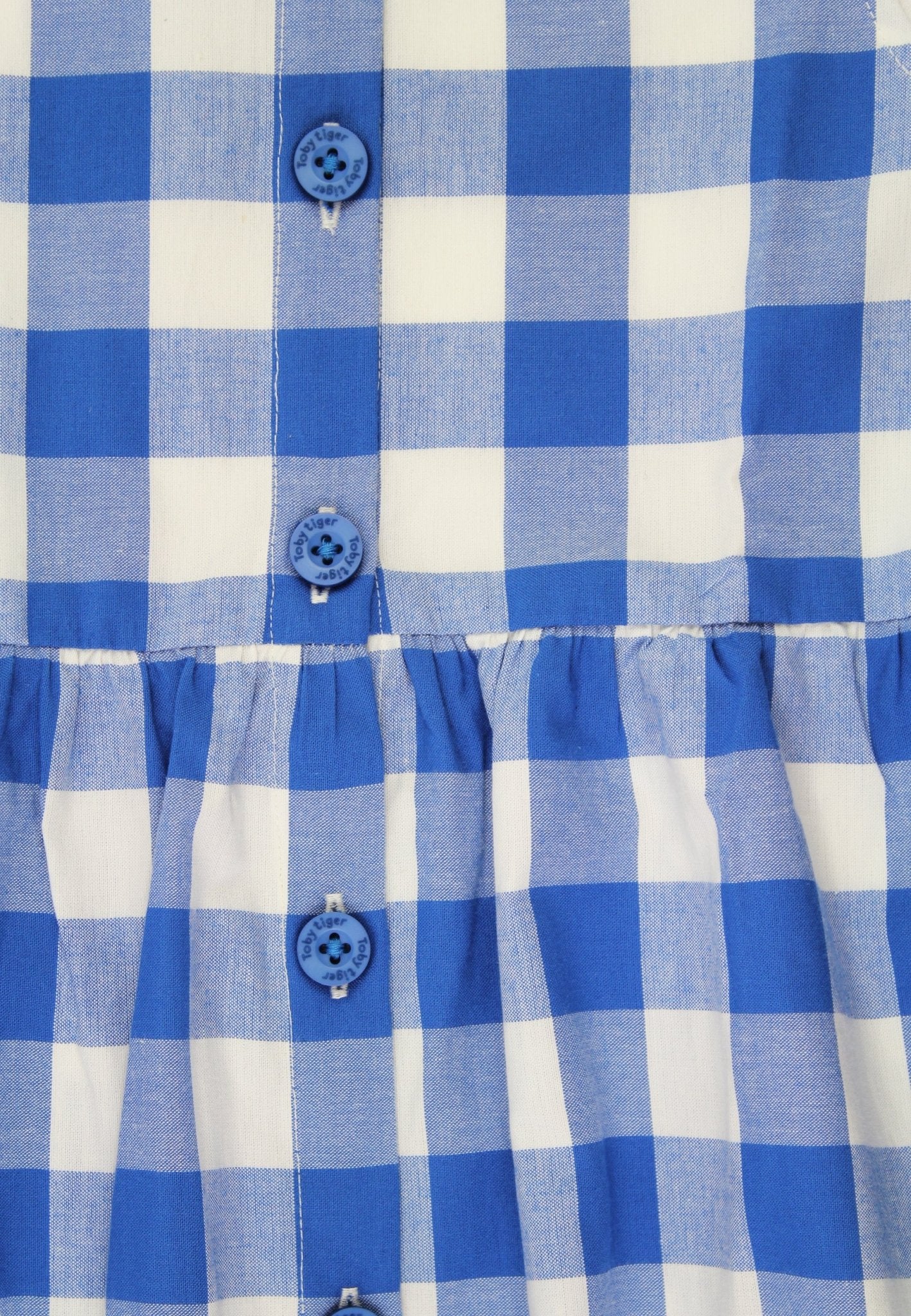 Organic Blue Gingham Woven Dress - Toby Tiger