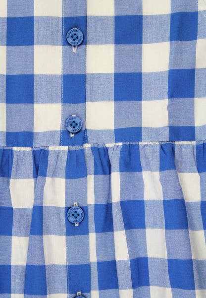 Organic Blue Gingham Woven Dress - Toby Tiger