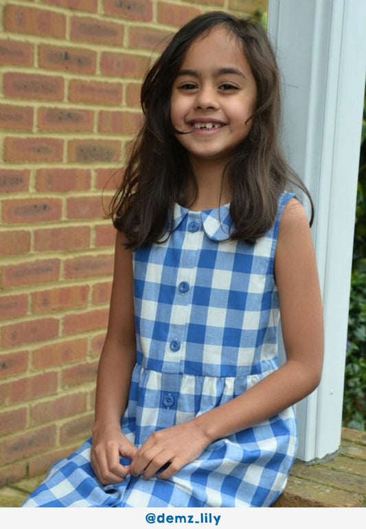 Organic Blue Gingham Woven Dress - Toby Tiger
