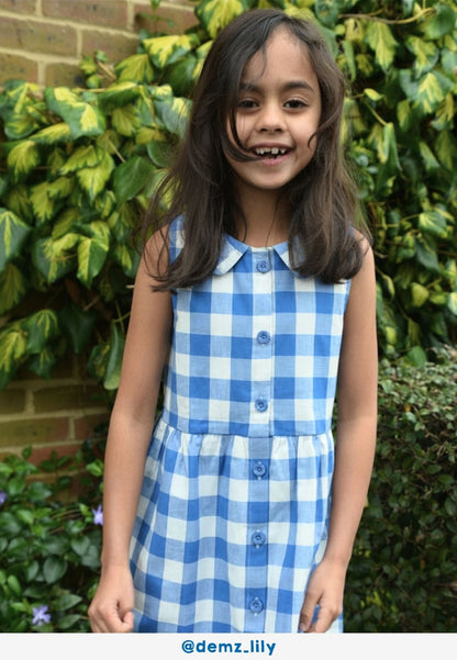 Organic Blue Gingham Woven Dress - Toby Tiger