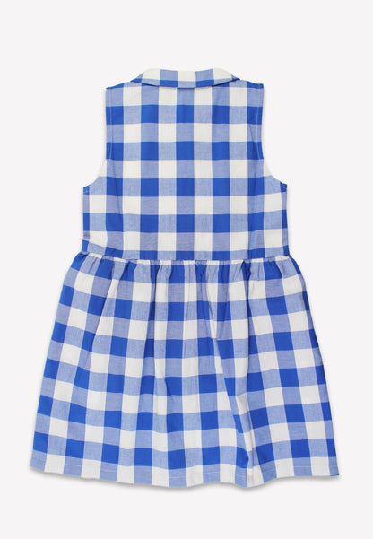 Organic Blue Gingham Woven Dress - Toby Tiger