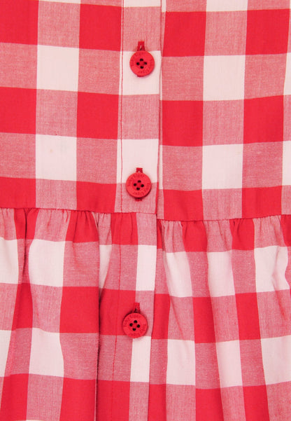 Organic Red Gingham Woven Dress - Toby Tiger