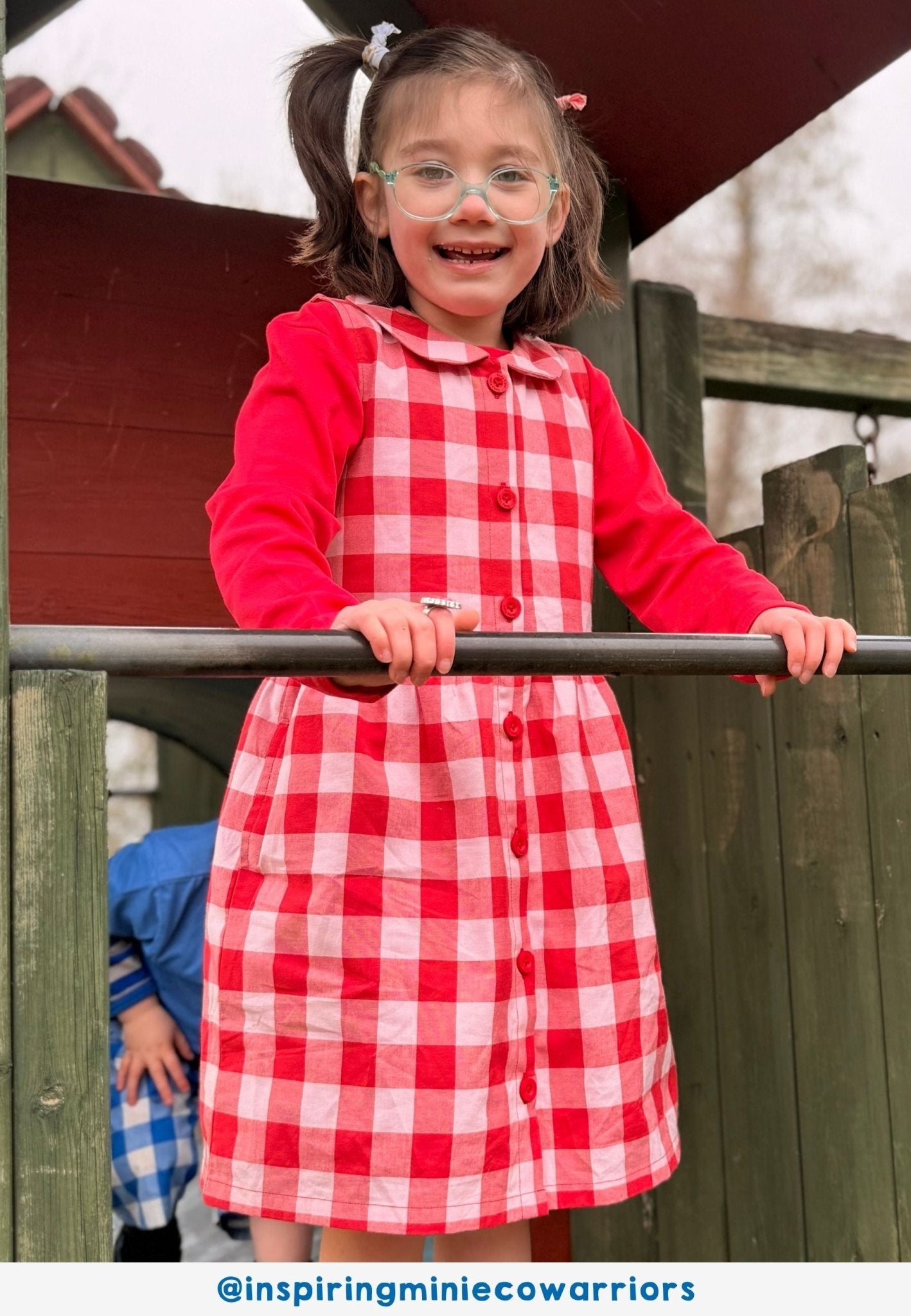 Organic Red Gingham Woven Dress - Toby Tiger