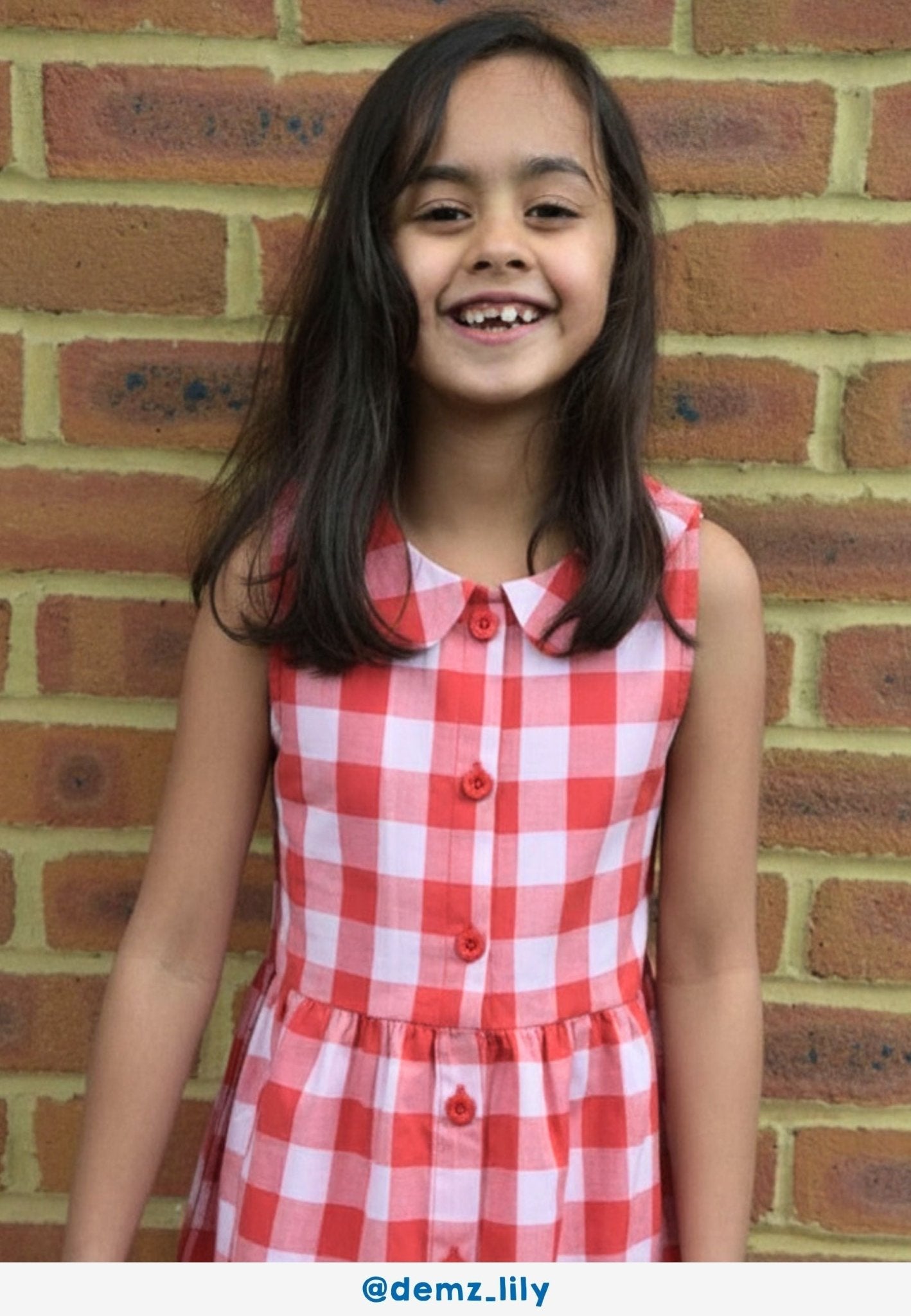 Organic Red Gingham Woven Dress - Toby Tiger