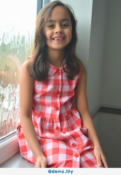 Organic Red Gingham Woven Dress - Toby Tiger