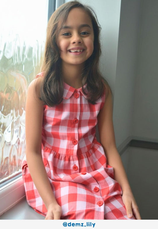 Organic Red Gingham Woven Dress - Toby Tiger