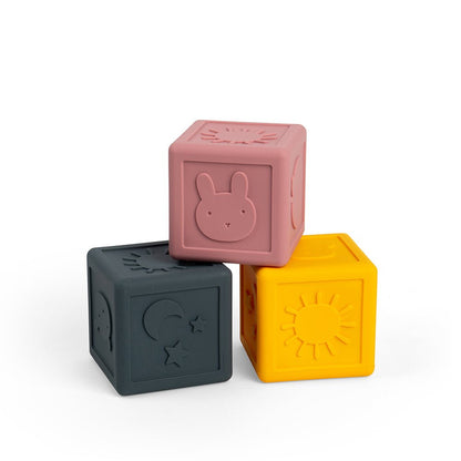 Silicone Sensory Cubes - Toby Tiger
