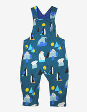Load image into Gallery viewer, Organic Arctic Print Dungarees - Toby Tiger
