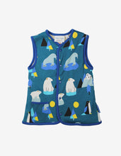 Load image into Gallery viewer, Organic Arctic Print Reversible Gilet - Toby Tiger
