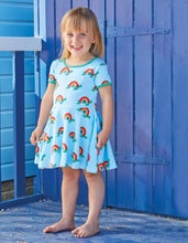 Load image into Gallery viewer, Organic Multi Turtle Print Skater Dress - Toby Tiger
